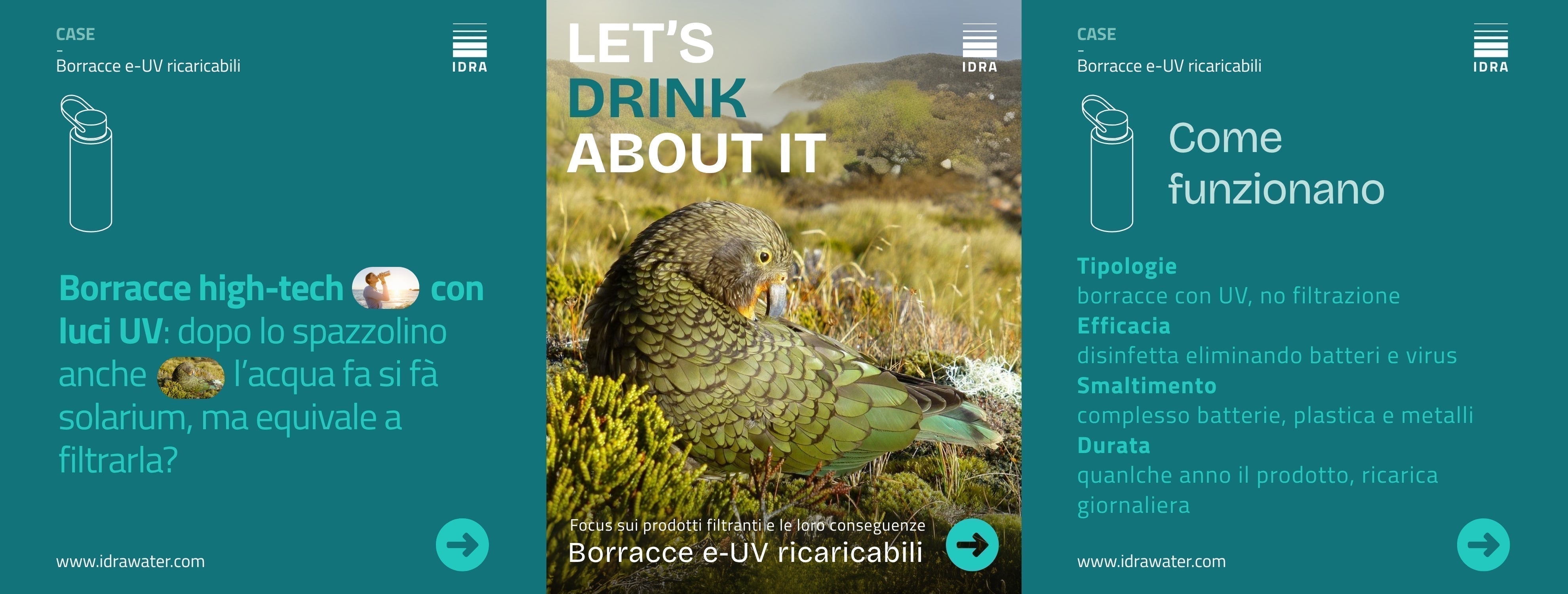 LET'S DRINK ABOUT IT - Copertina con tema dell'articolo: Pappagallo kakapo e borracce high-tech con filtri UV